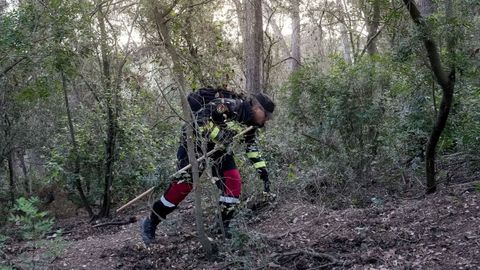 Uno de los miembros del equipo encargado de peinar la zona delimitada por la crisis de la peste porcina enCollserola.