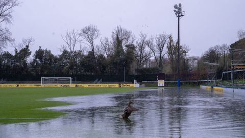 Estado del terreno de juego de Fadura, con patos flotando en el charco, que oblig&oacute; a aplazar el partido