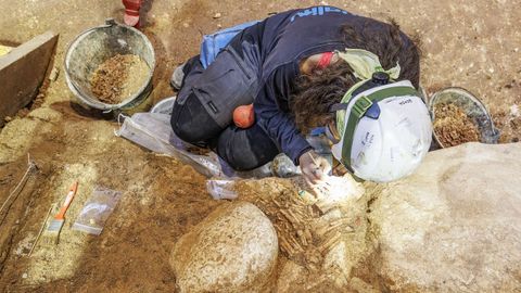 Trabajos de extracci�n de f�siles en el yacimiento de Atapuerca.