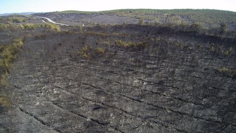 Terrenos quemados en el incendio del pasado jueves en la parroquia de Ma�ente, en Pant�n