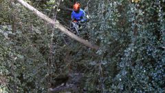 Fuera eucaliptos ca�dos, troncos o acacias. Un operario de Eulen cortando este lunes con una motosierra obst�culos en un tramo con riesgo de inundaci�n del r�o As Nogueiras, en Viveiro