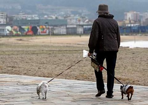 En la imagen, la forma correcta de pasear, mascotas con correa y bolsas para recoger las heces.