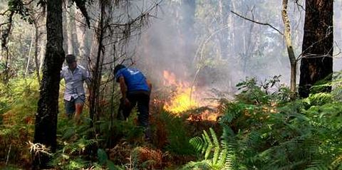 El entorno del pazo de Goi�ns fue una de las zonas afectadas.