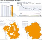 Da�os por ataques de lobo en Galicia