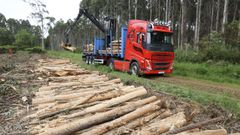 Trabajos forestales en un monte de San Sadurnio, en una imagen de archivo