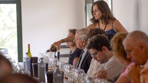 Servicio de los vinos durante la degustación en la sala de catas