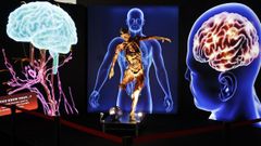 Bodies Evolution llega a Vigo con su leccin de anatoma