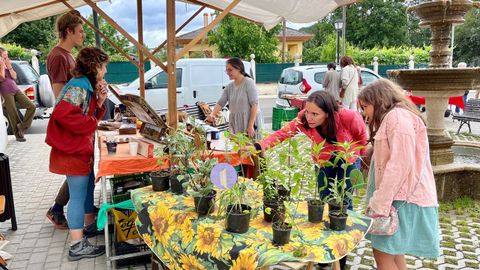 Postos de venda nunha edicin anterior do Mercado Circular da Pobra do Brolln