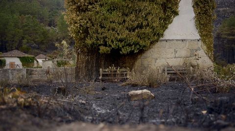 Terreno quemado junto a los muros exteriores del poblado de A Chaira (Pantn), construido por Iberdrola junto para los trabajadores de las centrales hidroelctricas del Sil
