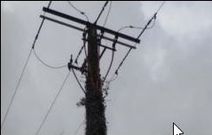 El BNG de Ordes fotografi� un poste de electricidad cubierto de maleza en las proximidades del pol�gono