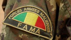 Las fuerzas armadas malienses buscan a los autores de la matanza ocurrida en el centro del pa�s