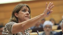 Dolores Delgado, ayer en el Senado