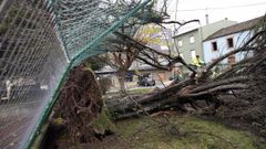 Bruno destroz� el cierre perimetral de las pistas de O Castelo