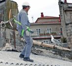 Desde el a�o pasado se han eliminado m�s de 200 nidos. 