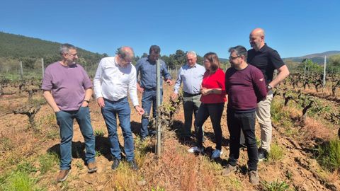 Visita a la Bodega Tabú en Oímbra
