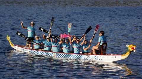 Imaxe dun bote dragón