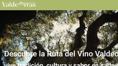 Captura de la renovada web con la nueva imagen.