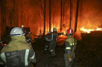 En el siniestro de este pasado lunes se quemaron 15,74 hect�reas de monte raso y arbolado. 