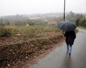 La misma zona es desde este semana un descampado. 