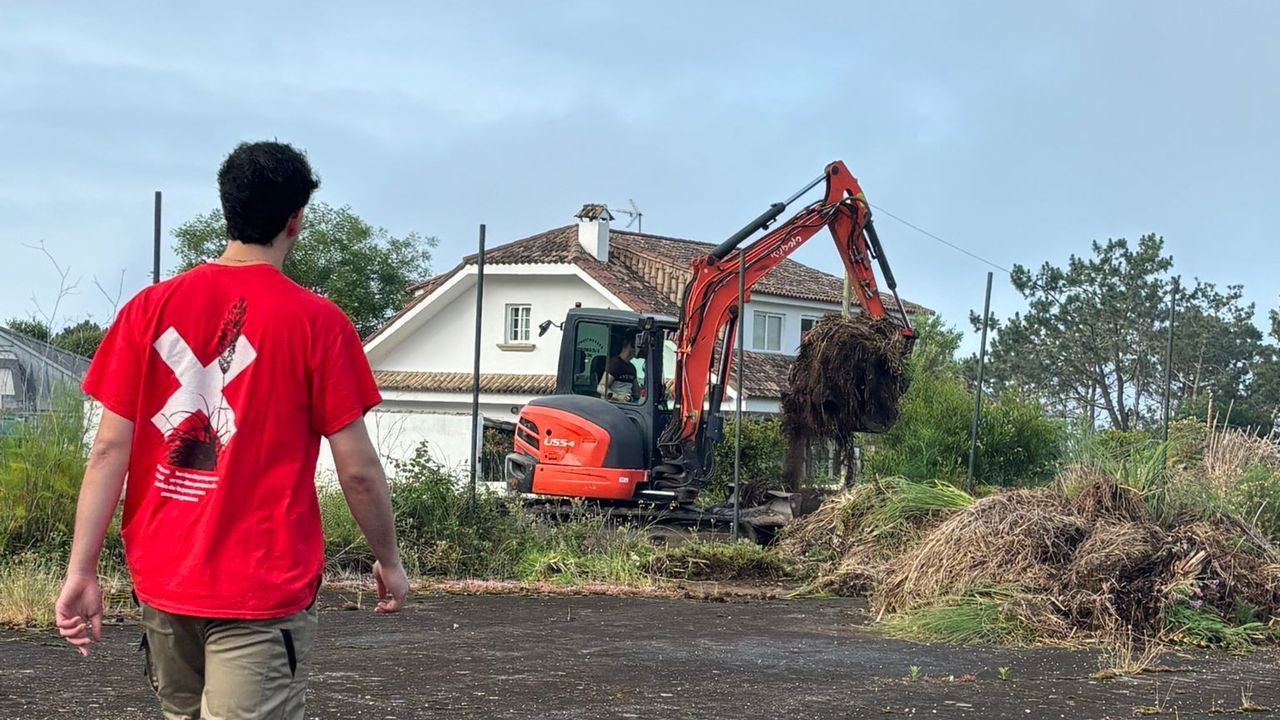 O Grove y Galicia Ambiental erradican de la costa sur la hierba de la Pampa