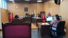 Un momento de la vista, a la que el acusado asisti&oacute; por videoconferencia