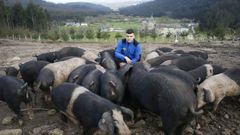 Nando L�pez tiene una explotaci�n de porco celta en Mondo�edo