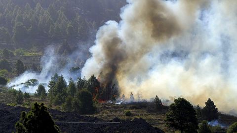 Incendio de La Palma