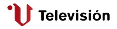 Logo V