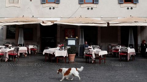 Un perro pasa por delante de un restaurante vaco en el el barrio bohemio de Trastvere, en Roma.