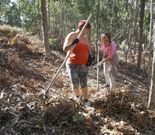 En A Croa do Castro y Ni��ns hubo actuaciones puntuales. 