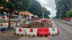 Obras de transformacin integral de la avenida de Santa Cristina.