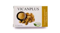Vicanplus