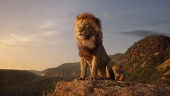 Imagen de �El Rey le�n�
