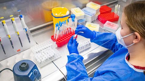 Los an�lisis moleculares confirmaron la persistencia del virus