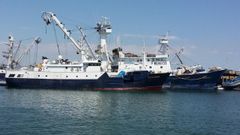 Barco Cosmos, en una imagen de archivo