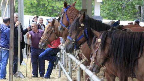 Feria do Cabalo en Adai