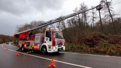 Bomberos de O Carballio intervienen en la cada de un rbol que arrastr cableado