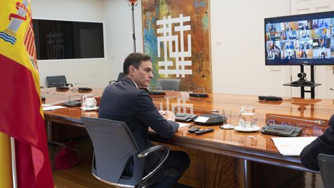 Snchez, durante la conversacin por videoconferencia de este domingo con presidentes de las comunidades autnomas