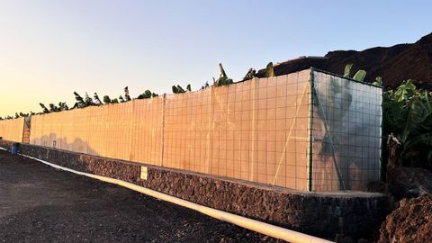 La primera finca que dio pltanos sobre la lava del volcn