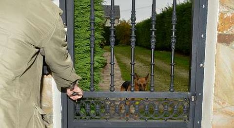 Los setos que rodean la finca posiblemente son un buen aliado para los ladrones.