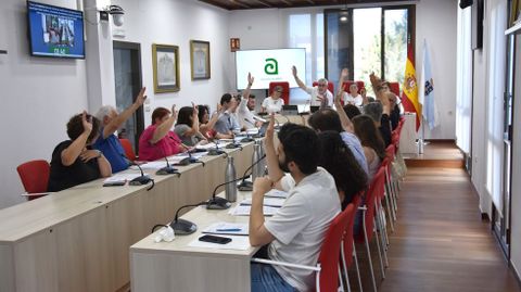 El pleno de Ames aprob� por unanimidad la concesi�n de la medalla del Concello a As Maianas