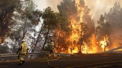 Los bomberos no pudieron impedir que las llamas cruzasen la carretera de Ferreira a Nogueira de Ramuín