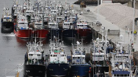 La mayora de los boniteros vascos atracaron en el muelle norte de Celeiro, llenndolo, y sus tripulantes aprovecharon la noche del sbado para disfrutar del ambiente hostelero de Viveiro