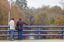 En este puente sobre el r�o, la vegetaci�n que crece a un lado y otro hace de tap�n para el agua. 
