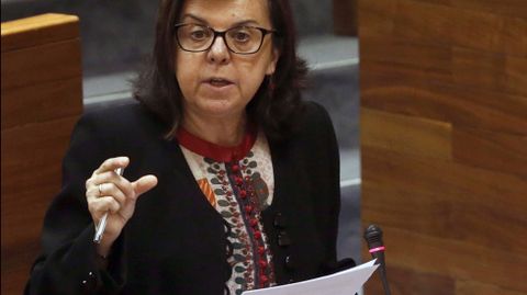 La consejera de Desarrollo Rural y Recursos Naturales, María Jesús Álvarez. La consejera de Desarrollo Rural y Recursos Naturales, María Jesús Álvarez