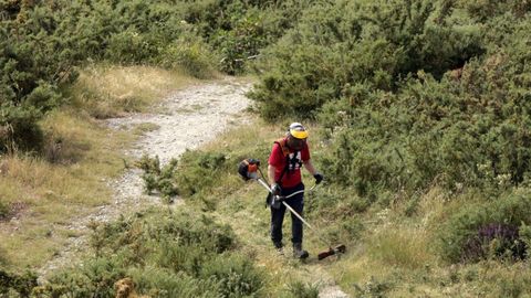 Un hombre limpiando su finca de maleza
