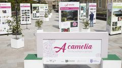 Exposiciones en el entorno de Santa Mar�a