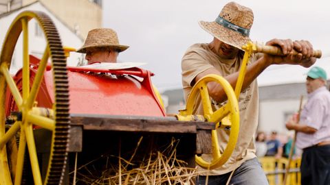 Meira reivindic� los trabajos acestrales del campo en una nueva edici�n de la Festa da Malla.