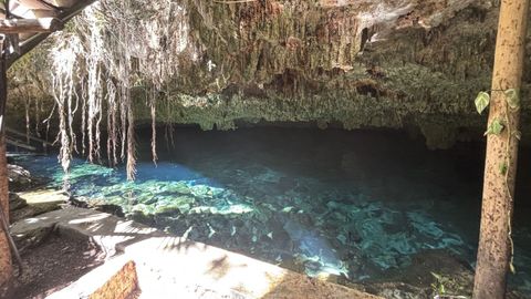 Cenote semiabierto ubicado en la comunidad maya de Dos Palmas, a pocos kilómetros de Tulum.