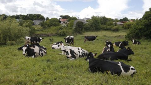 Medio Rural ha puesto en marcha una serie de medidas para que�sea m�s sencillo cumplir con los requisitos de la PAC